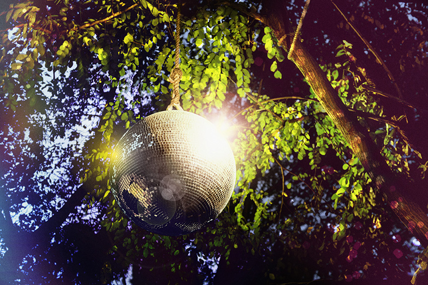 Piquee - advertising - 57