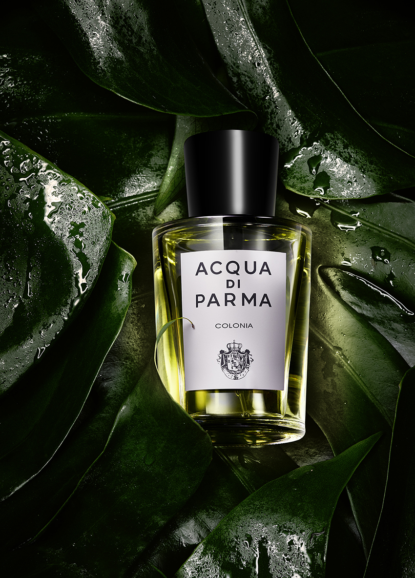 Piquee - stills - 14