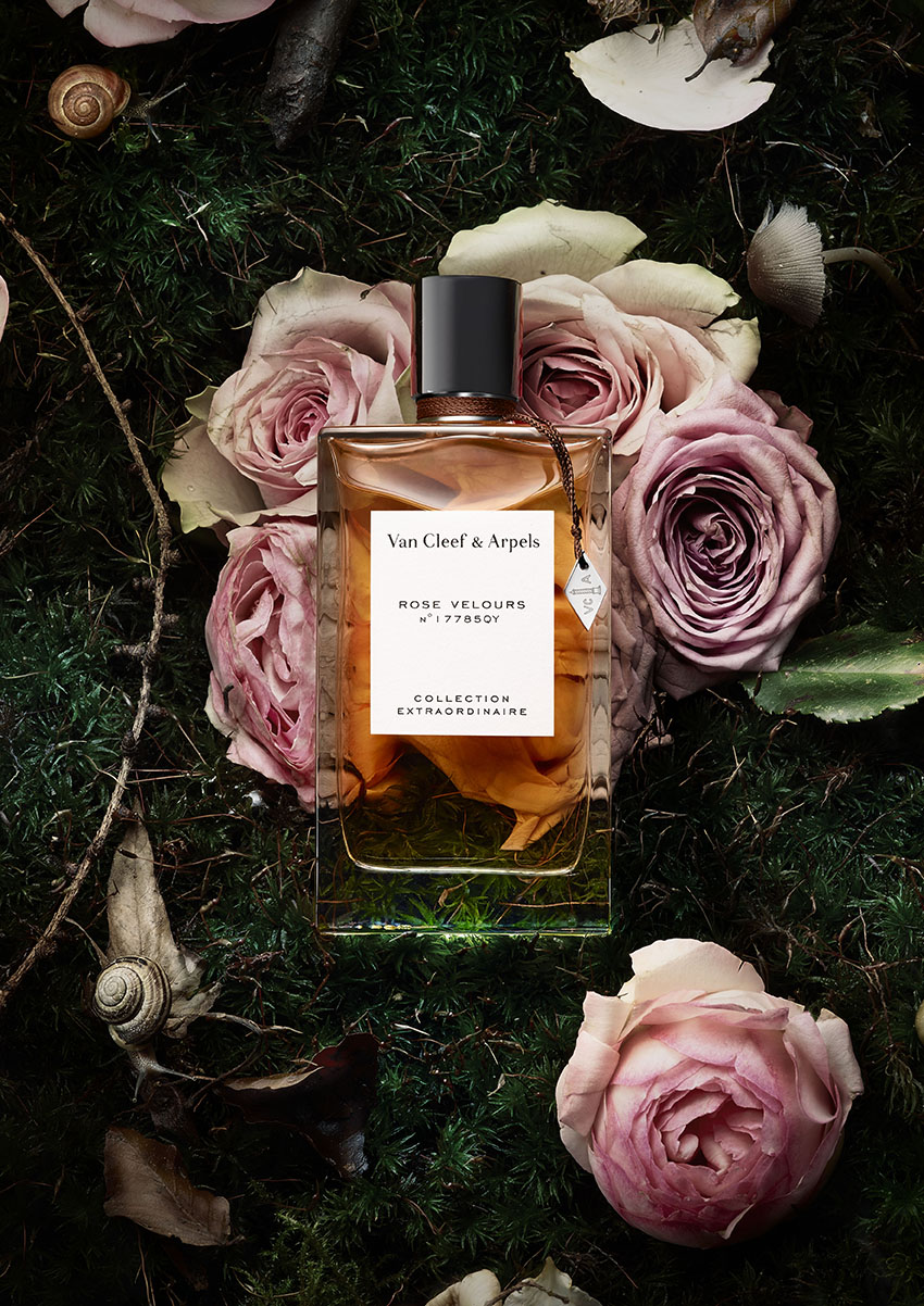 Piquee - stills - 16